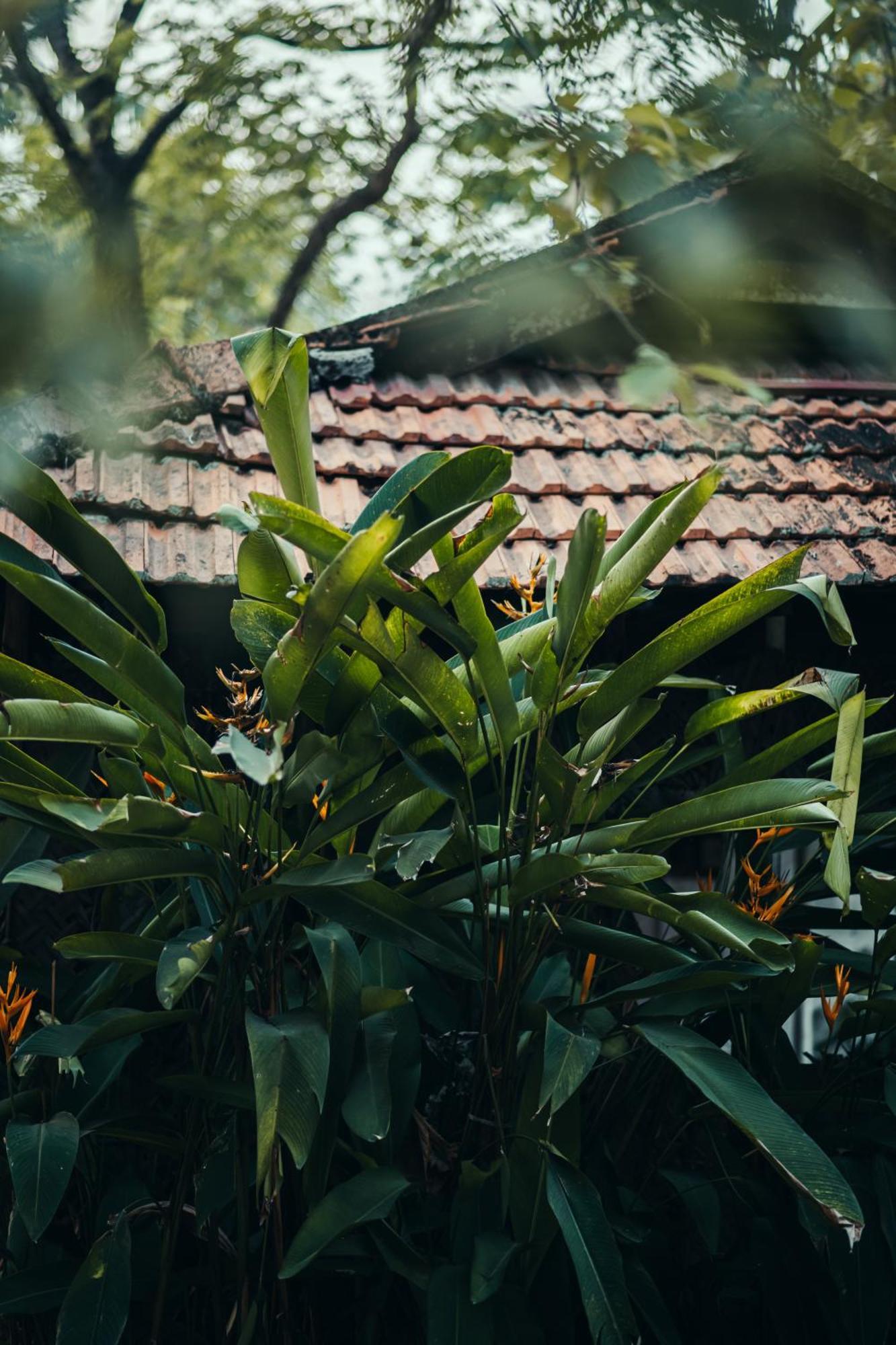 Paddlecult Surf Retreat Bed & Breakfast Varkala Dış mekan fotoğraf