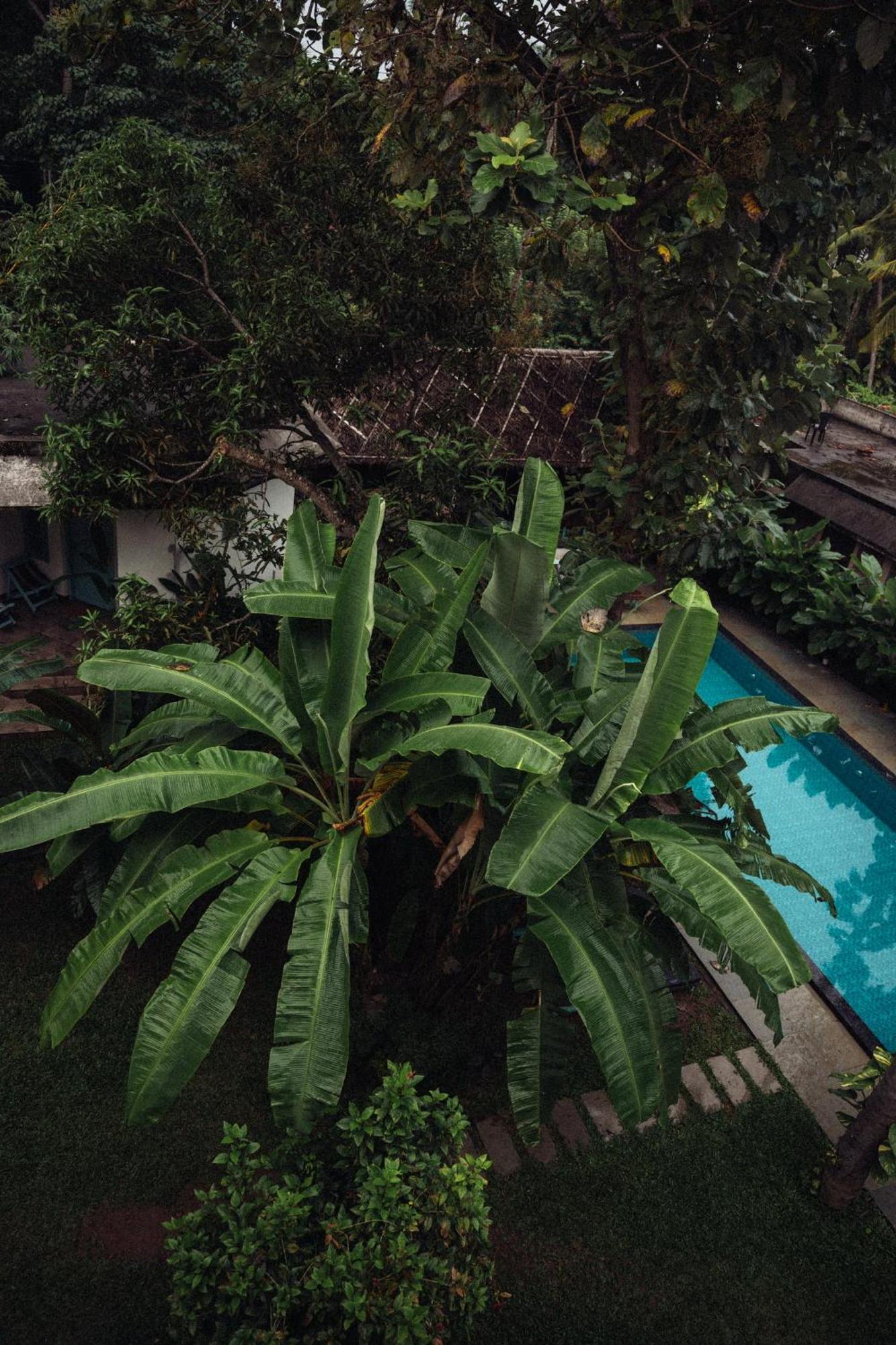 Paddlecult Surf Retreat Bed & Breakfast Varkala Dış mekan fotoğraf